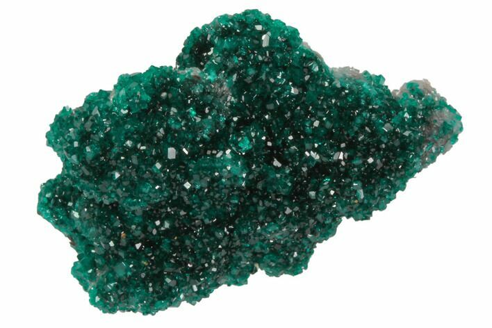 Sparkly, Dioptase Crystal Cluster - Namibia #78698